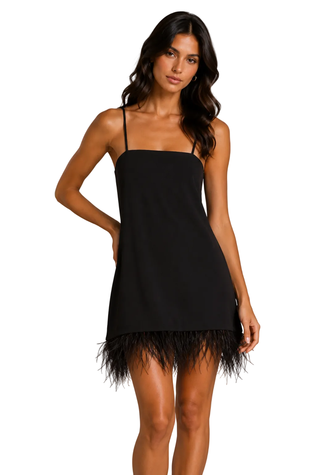 Woman wearing a black dress with feather details on a gray background